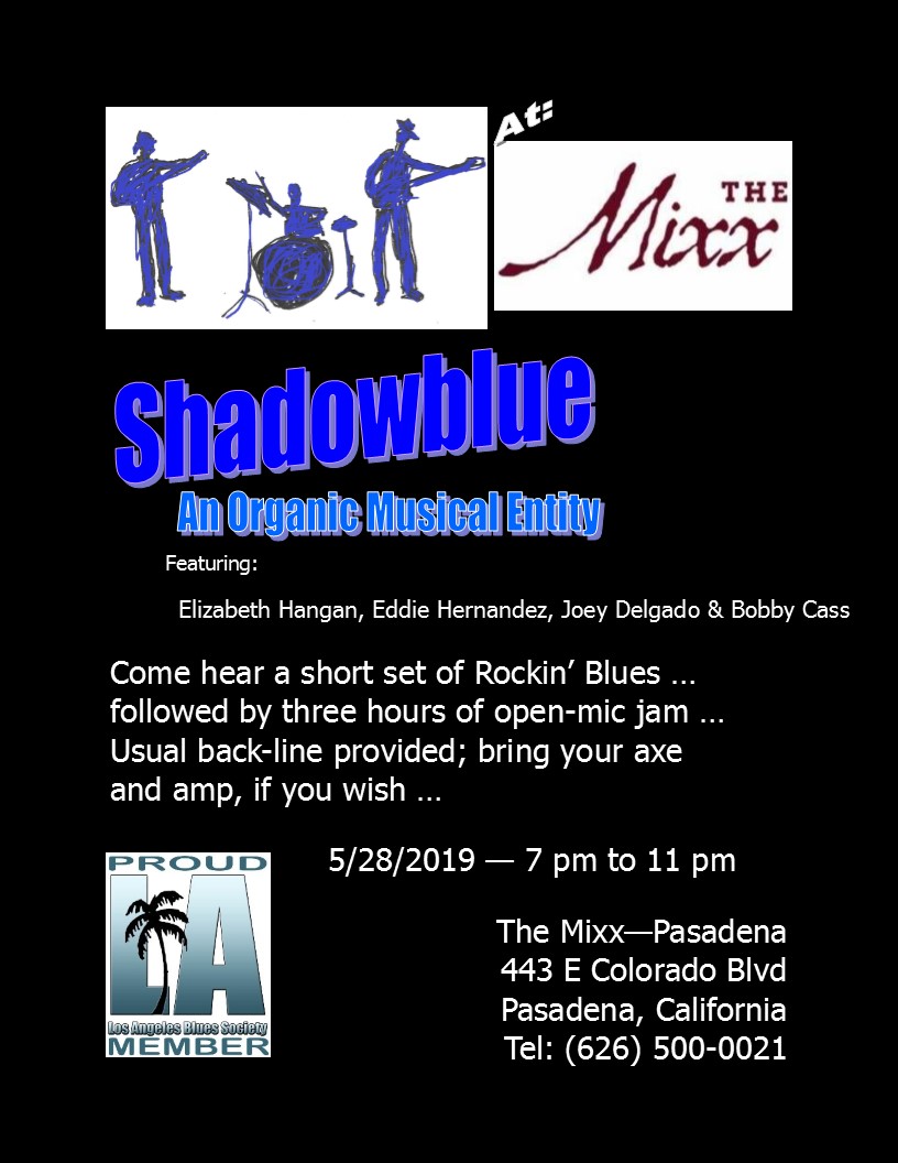 You are currently viewing Shadowblue Blues Band