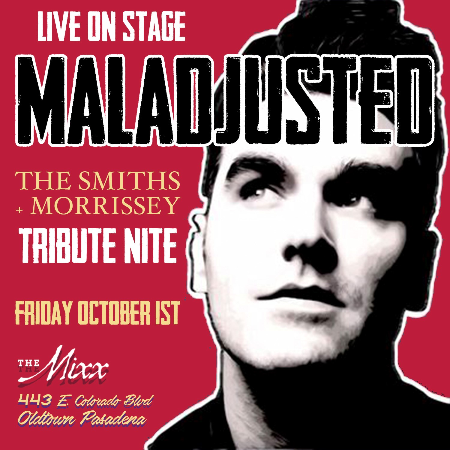 You are currently viewing MALADJUSTED – The ultimate SMITHS and MORRISSEY Tribute night