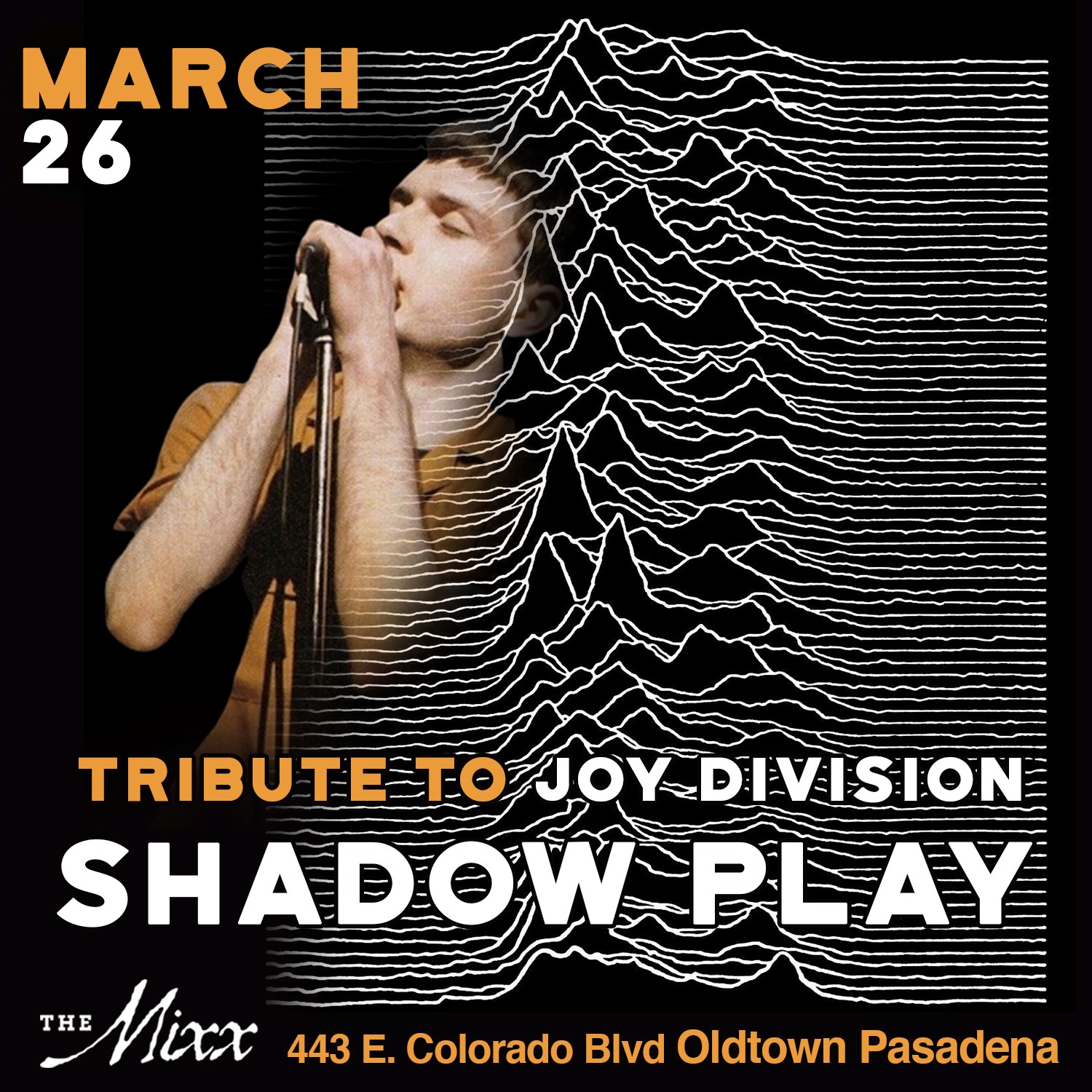 You are currently viewing JOY DIVISION Tribute night with SHADOW PLAY live on stage